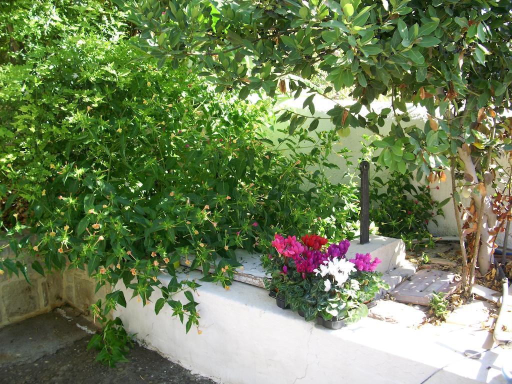 Patriko Country House Vori Exterior photo