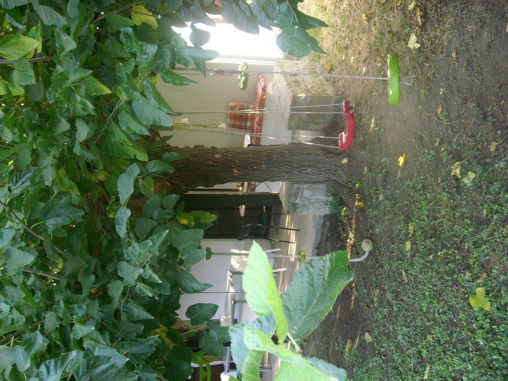Patriko Country House Vori Exterior photo